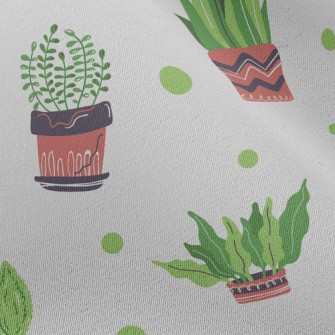 Small Succulent Potted Plants Chiffon
