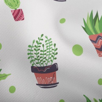 Small Succulent Potted Plants Dobby