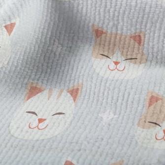 Big-headed Cat With Squinting  Terry