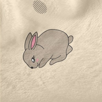 Brown Cute Rabbit Minky