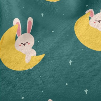 Cute Rabbit Sleeping On The Mo Minky