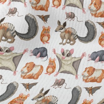 Cartoon Rodent Terry