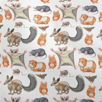 Cartoon Rodent Dobby