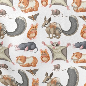 Cartoon Rodent Stretch Ponte