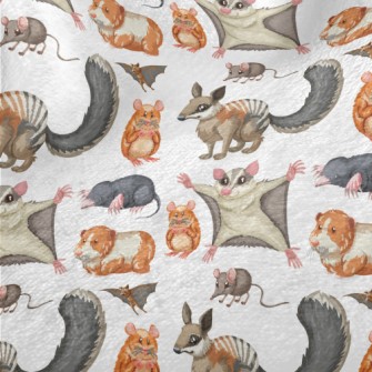 Cartoon Rodent Minky