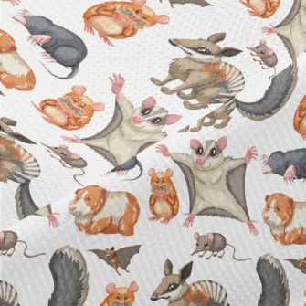 Cartoon Rodent Piqué