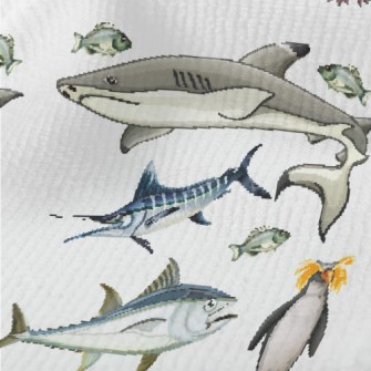 Sailfish Shark Penguin Terry