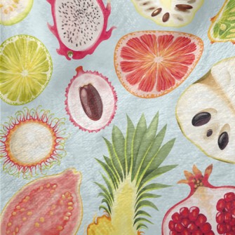 Summer Fruit Cross Section Minky