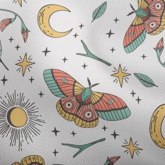 Mysterious Pattern Moth Dobby