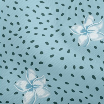 Dream Plumeria Seeds Dobby