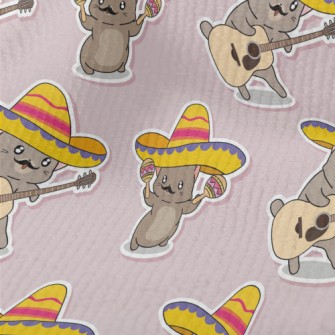 Mexican Style Kitten Terry
