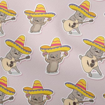 Mexican Style Kitten Dobby