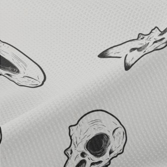 Hand Drawn Bird Skulls Piqué