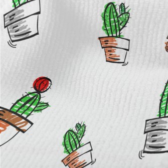 Succulent Cactus Potted Plants Terry