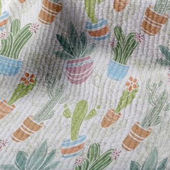 Various Cactus Potted Plants Terry