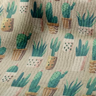 Cactus And Succulent Potted Pl Terry