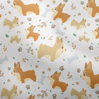 Happy Playing Corgi Dog Dobby