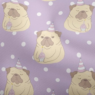 Bulldog Celebrates Birthday Dobby