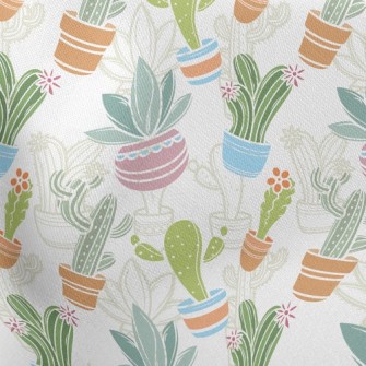 Various Cactus Potted Plants Stretch Ponte