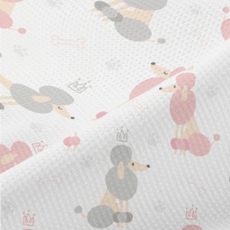 Champion Poodle Piqué