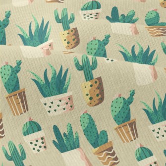 Cactus And Succulent Potted Pl Modern Jersey