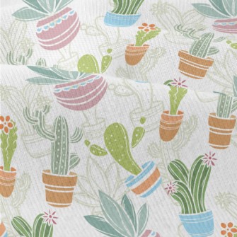 Various Cactus Potted Plants Modern Jersey