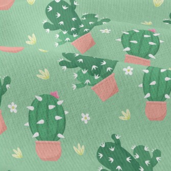 Prickly Cactus Potted Plant Modern Jersey