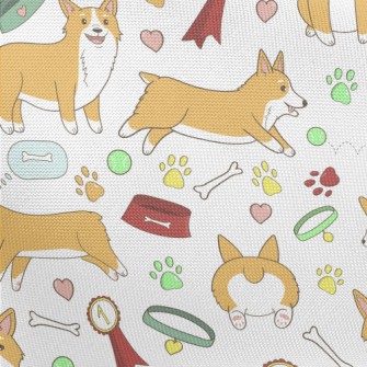 Champion Corgi Pongee