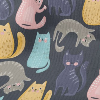 Colorful Playful Cat Terry