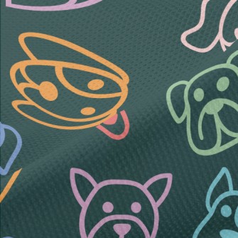 Color Line Dog Piqué