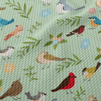 Cartoon Bird Encyclopedia Birdseye Piqué