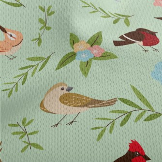 Cartoon Bird Encyclopedia Athletic Mesh Flat Back