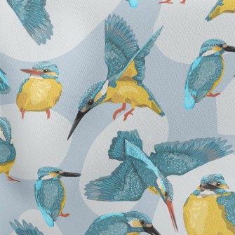 Cartoon Common Kingfisher Stretch Ponte
