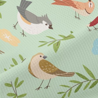 Cartoon Bird Encyclopedia Piqué