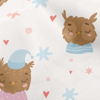 Sleeping Owl Micro Fleece