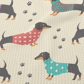 Dachshund Dog In Sweater Birdseye Piqué