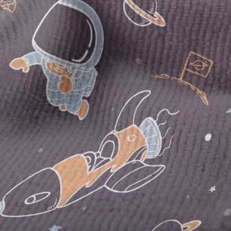 Astronauts And Space Shuttles Terry