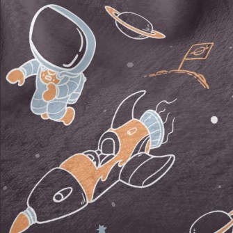 Astronauts And Space Shuttles Minky