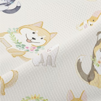 Wedding Gentleman Dog Piqué