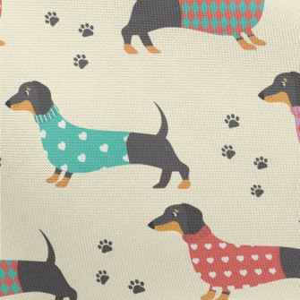 Dachshund Dog In Sweater Pongee