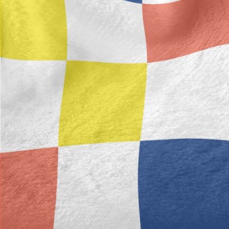 Colorful Arrangement Grid Minky