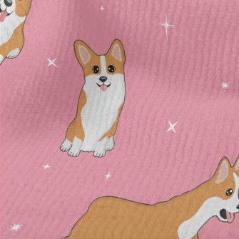 Cute Corgi At The Event Terry