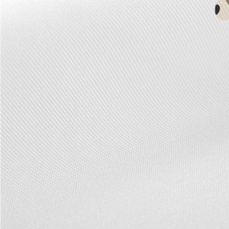 Cute Jack Russell Terrier Twill