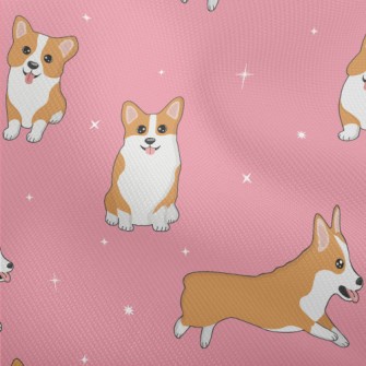 Cute Corgi At The Event Dobby