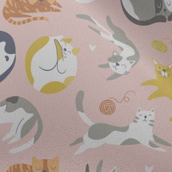 Kitten Chasing Yarn And Playin Chiffon