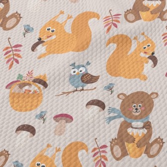 Preparing Cub Squirrel For Win Birdseye Piqué