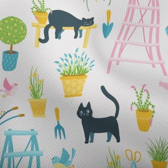 Black Cat Hanging Out In The G Dobby