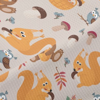 Preparing Cub Squirrel For Win Piqué