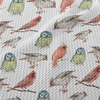 Watercolor Hand Drawn Birds Birdseye Piqué