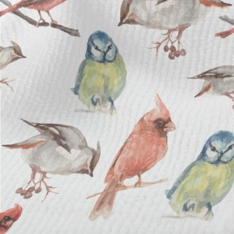 Watercolor Hand Drawn Birds Terry